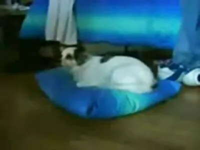 ക്യൂട്ട് ടീൻ കോഴിയെ സ്നേഹിക്കുന്നു